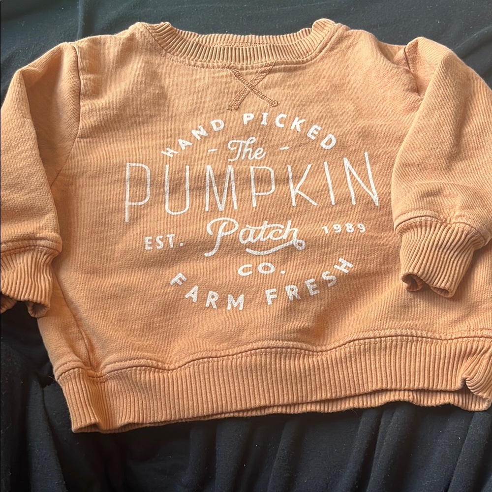 B23 All Pima Apparel Pumpkin Patch Crewneck